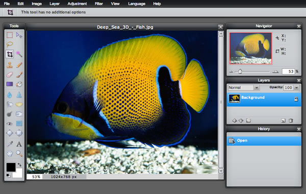 Online Photo Editing Software pixlr